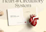 design aesthetic medical flashcards, study notes and edu